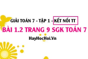 Bài 1.2 SGK Toán 7 tập 1 Kết nối tri thức